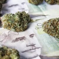 Stretch Your Cannabis Dollar